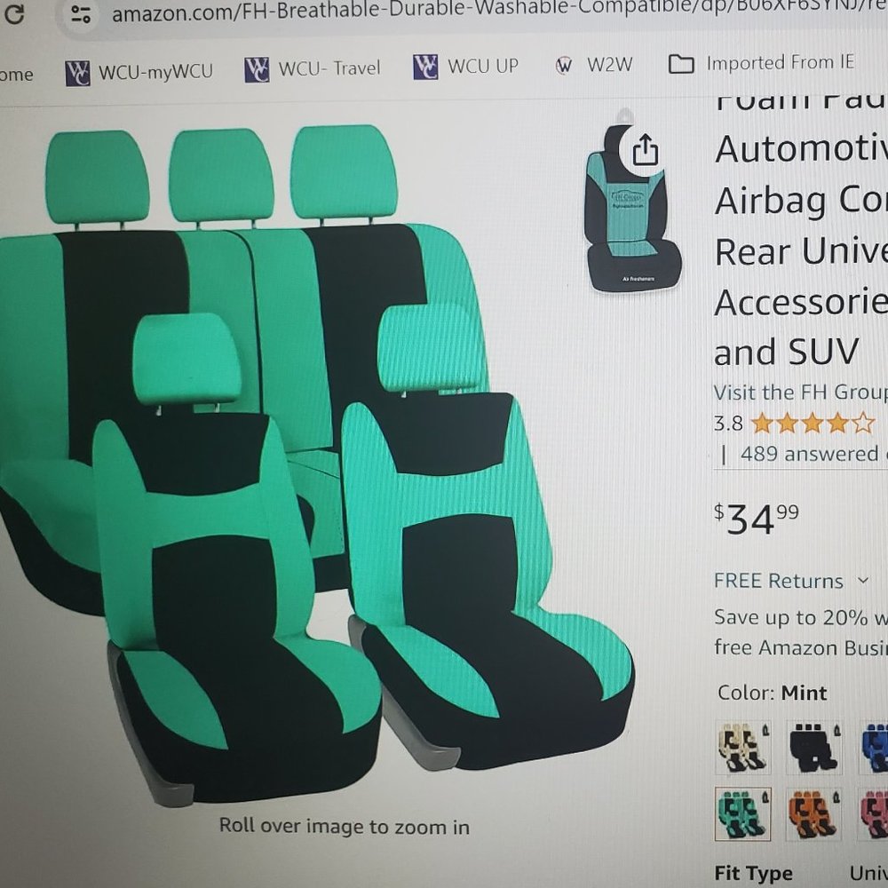 Automotive Seat Covers (Mint green & black)